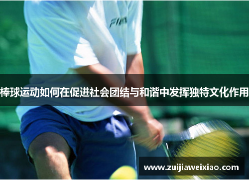 棒球运动如何在促进社会团结与和谐中发挥独特文化作用